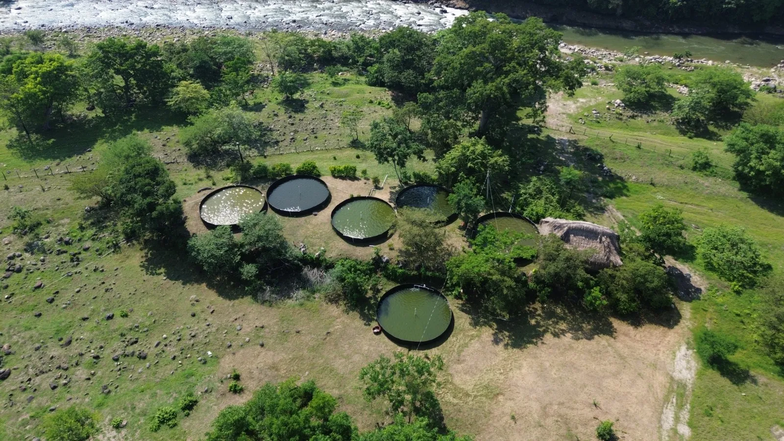 Vista panorámica de los estanques de la granja en Tuxtla Chico