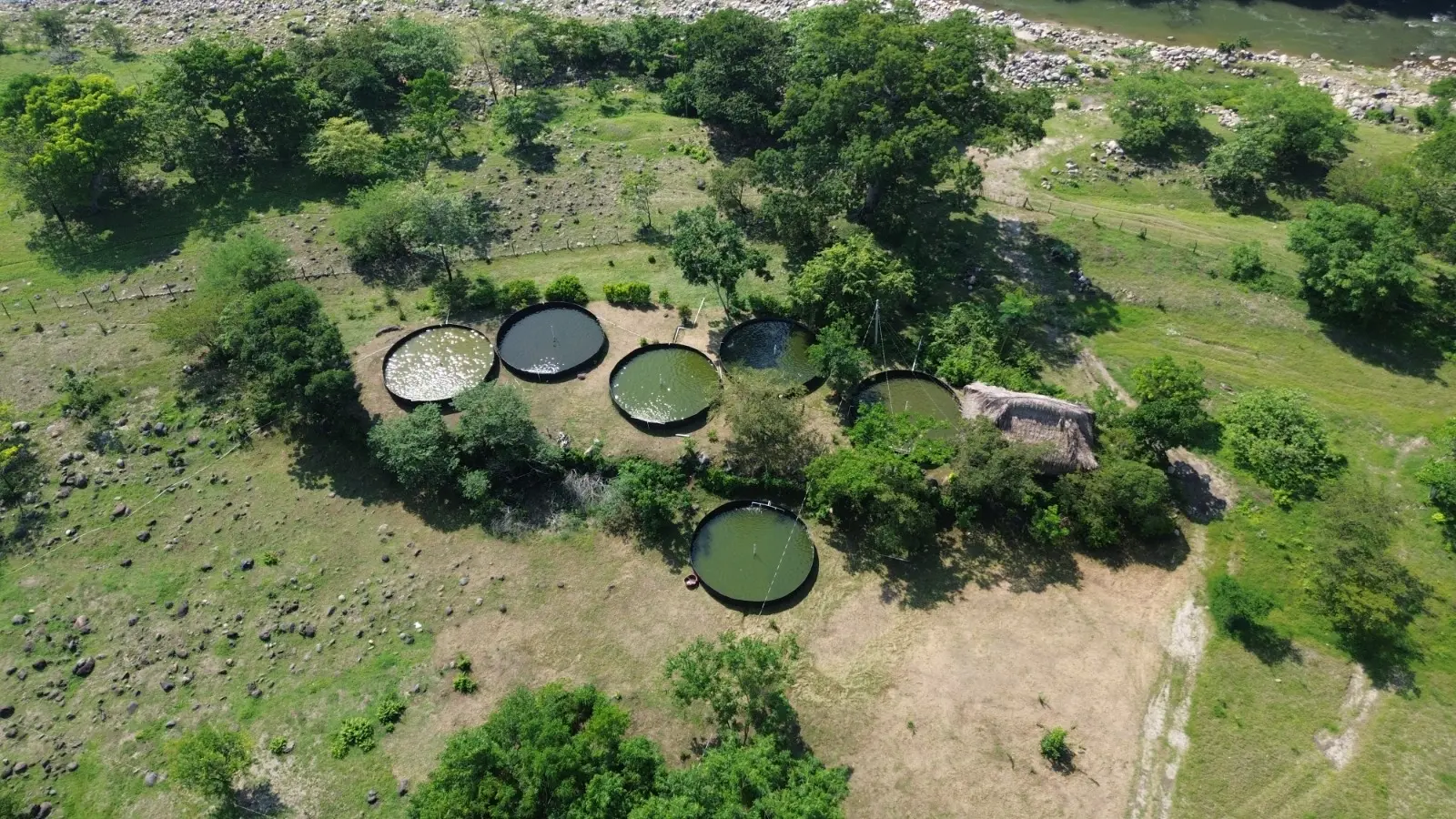 Vista panorámica de los estanques — toma 6